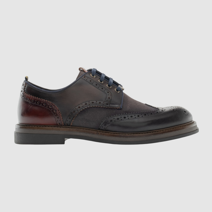 AMBITIOUS FRANCESINE BTR Brogues TDM COMBI