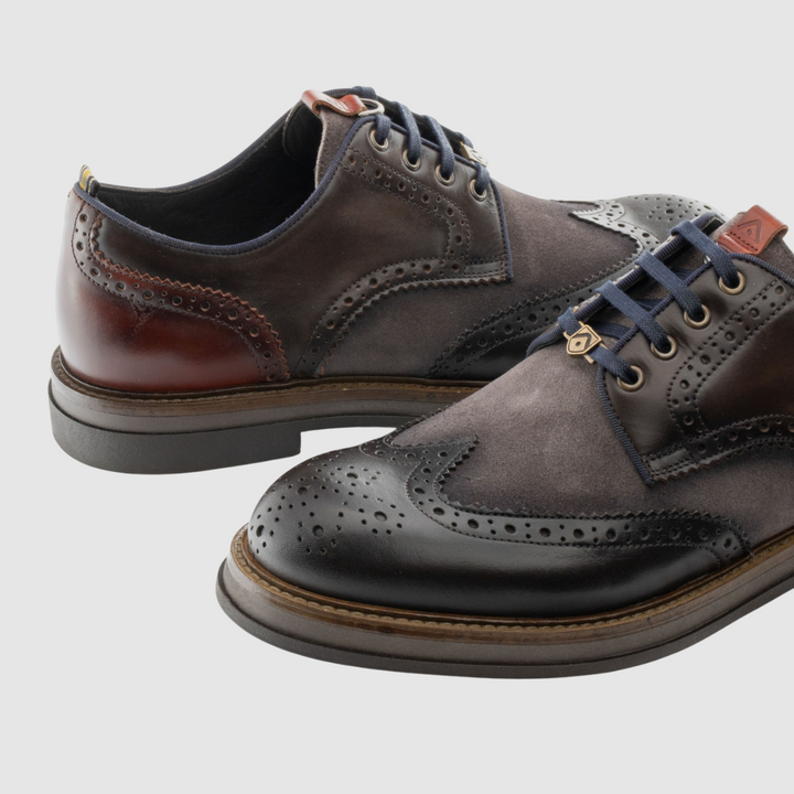 AMBITIOUS FRANCESINE BTR Brogues TDM COMBI