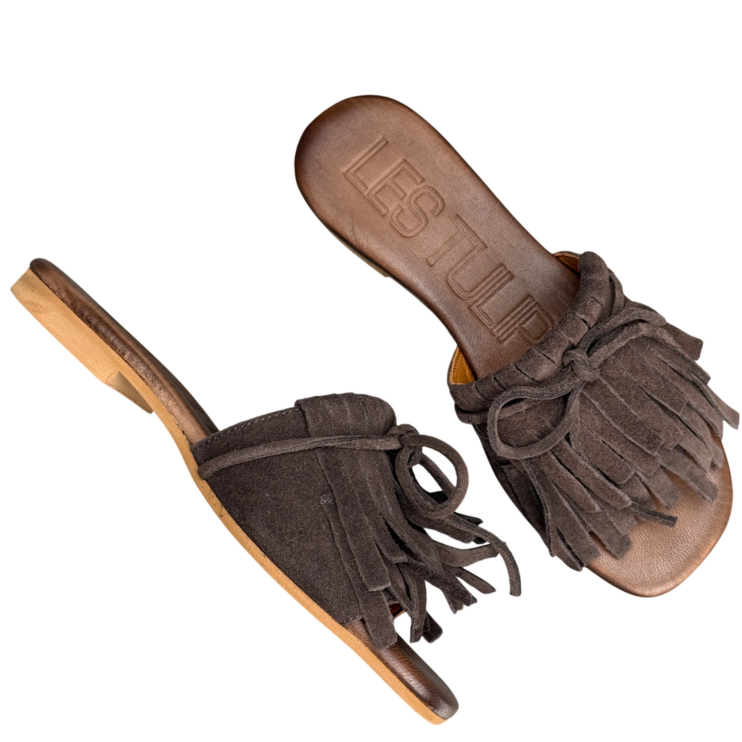 LES TULIPES Ciabattina Frangia T. moro